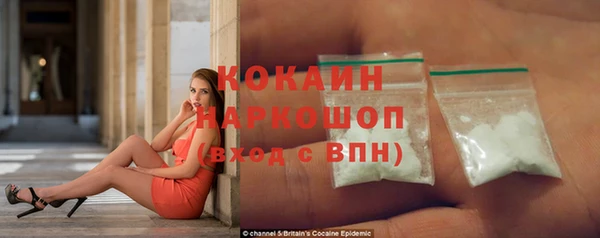 стафф Арсеньев