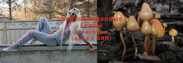 стафф Арсеньев